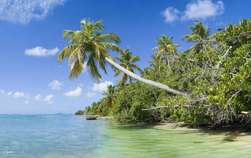 Plages de rêve et nature préservée à Sainte-Anne